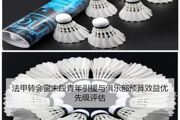 法甲转会窗末段青年引援与俱乐部预算效益优先级评估