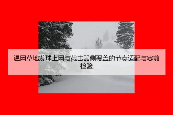 wen-wang-cao-di-fa-qiu-shang-wang-yu-jie-ji-ruo-ce-fu-gai-de-jie-zou-shi-pei-yu-sai-qian-jian-yan-3-631.jpg